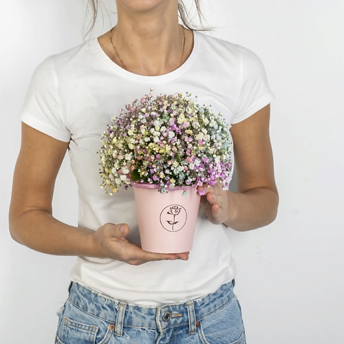 ЛЭТУАЛЬ FLOWERS Радужная дымка лэтуаль flowers букет из розовых роз 71 шт 40 см