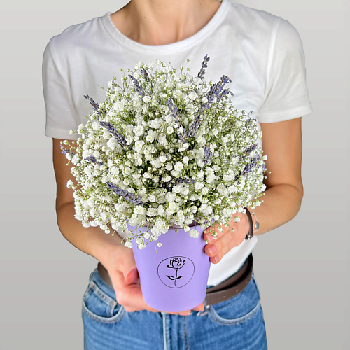 ЛЭТУАЛЬ FLOWERS Композиция из гипсофилы и лаванды в коробке vornikov bouquets композиция в коробке яркие эмоции