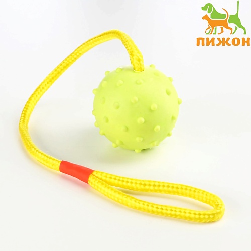 ПИЖОН Игрушка мяч на веревке пижон игрушка для собак кольцо