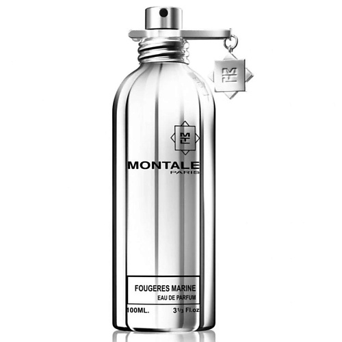 MONTALE Парфюмерная вода Fougeres Marines 100 new york perfume парфюмерная вода four 50