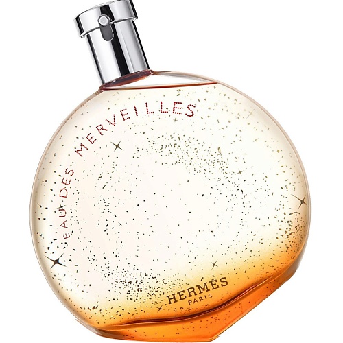 HERMÈS HERMES Туалетная вода Eau Des Merveilles 100 l’ambre des merveilles