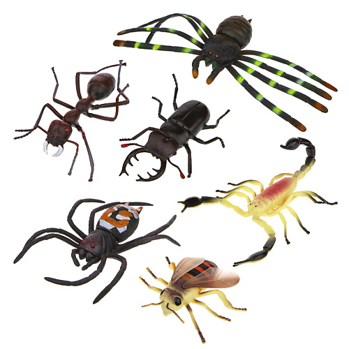 1TOY Игровой набор В мире Животных Насекомые 1.0 насекомые раскраски из сказки