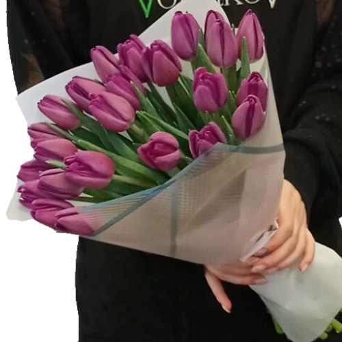 VORNIKOV BOUQUETS Букет из 25 фиолетовых тюльпанов MPL301703 - фото 1