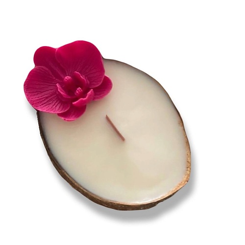 CANDLE ZEN Свеча ароматическая в кокосе с ароматом Морская соль и орхидея 200.0 aromako свеча морская соль 250