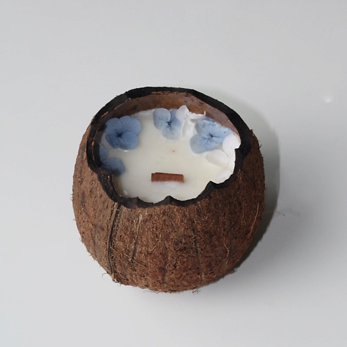 CANDLE ZEN Свеча ароматическая в кокосе с ароматом Чёрное море 250.0 малышарики рисуем пластилином на море