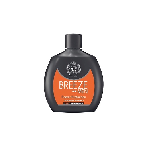 BREEZE Парфюмированный дезодорант Power Protection 100 borodatos парфюмированный дезодорант антиперспирант мандарин