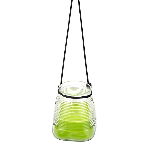 SPAAS Свеча подвесная в стакане Цитронелла зеленая 1.0 spaas свеча в терракотовой чаше цитронелла летние ы 1
