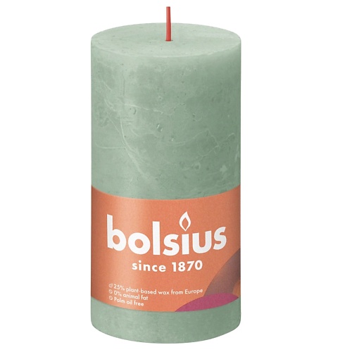 BOLSIUS Свеча рустик Shine шалфей 415 bolsius подсвечник bolsius сandle accessories 76 54 красный для чайных свечей