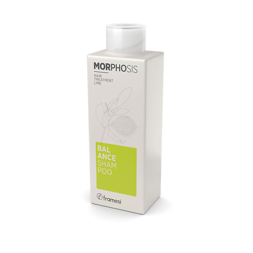 Framesi Шампунь для решения проблем жирной кожи головы MORPHOSIS BALANCE SHAMPOO