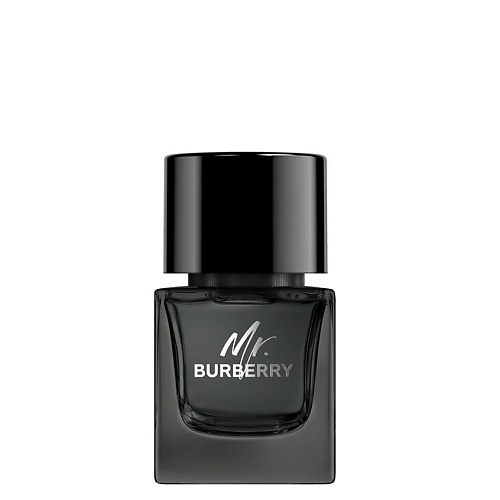 BURBERRY Mr. Burberry Eau de Parfum 50 burberry her 50