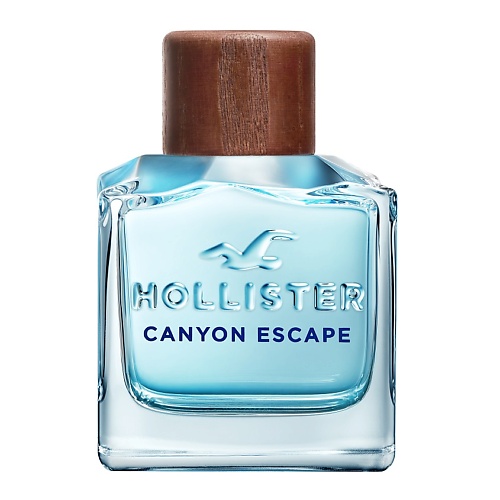 HOLLISTER Canyon Escape for Him 100 hollister canyon sky for him 30