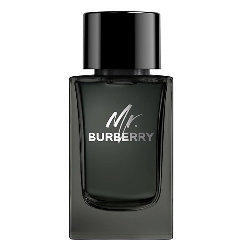 BURBERRY Mr. Burberry Eau de Parfum 150 burberry mr burberry 50