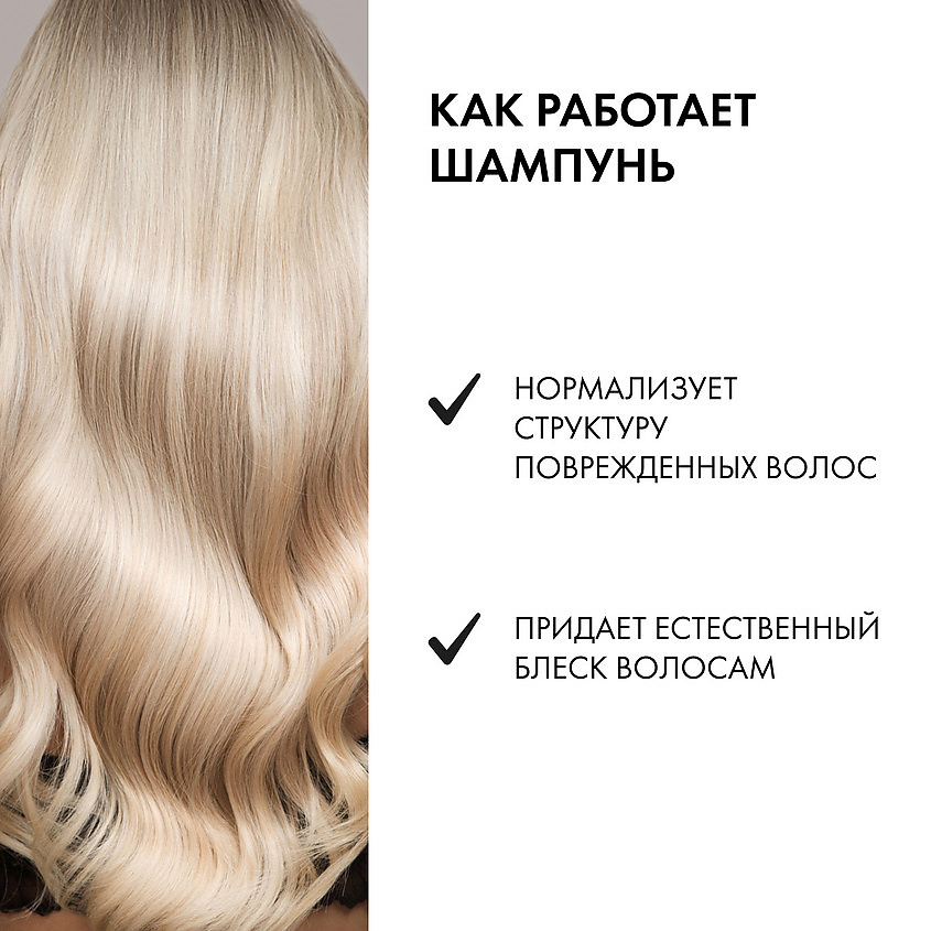 NATURA SIBERICA Шампунь для окрашенных и поврежденных волос Защита и блеск NTS430440 - фото 3