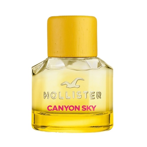 HOLLISTER Canyon Sky For Her 30 hollister wave x for man