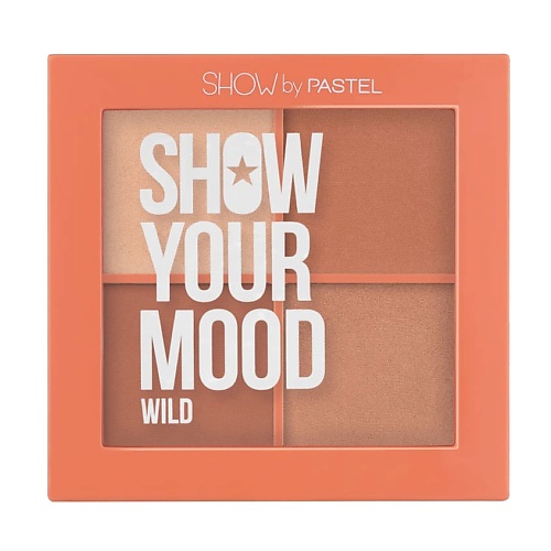 PASTEL Румяна SHOW YOUR MOOD BLUSH PALETTE open your eyes м daly