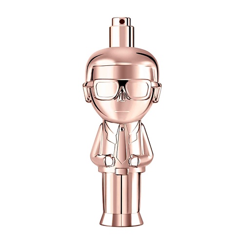 KARL LAGERFELD Ikonik Pour Femme 60