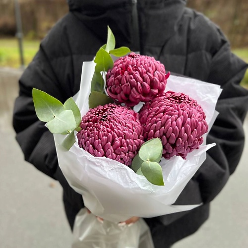 LE BOUQUET Букет из огромных лиловых хризантем