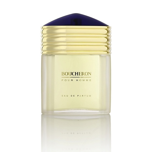 BOUCHERON Pour Homme Eau de Parfum 100 8999₽