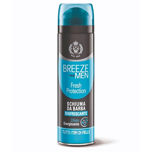 BREEZE Пена для бритья FRESH PROTECTION 2000 580₽