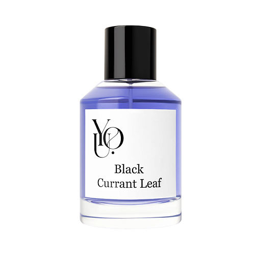 YOU Black Currant Leaf 100 2999₽