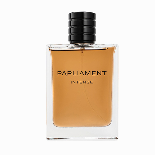 PARLIAMENT Intense 100 1499₽