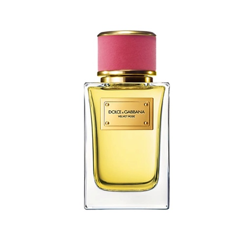 

DOLCE&GABBANA Velvet Collection Rose 100, Velvet Collection Rose