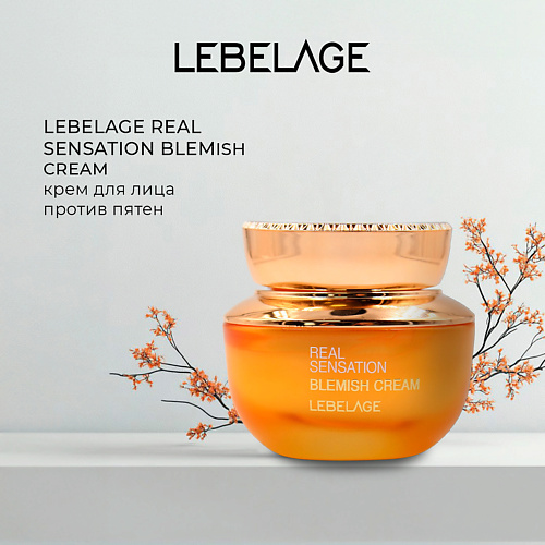 LEBELAGE Крем от пигментных пятен REAL SENSATION BLEMISH CREAM 500 2299₽