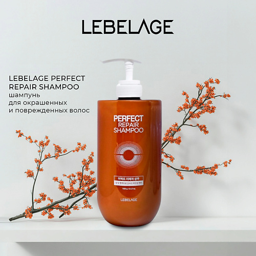 LEBELAGE Шампунь для волос PERFECT REPAIR SHAMPOO 1199₽