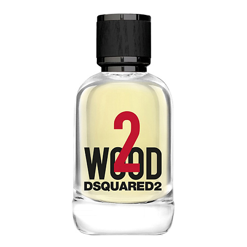 DSQUARED2 2WOOD 100 9719₽