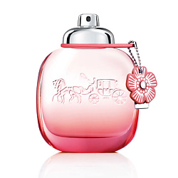 coach crush perfume