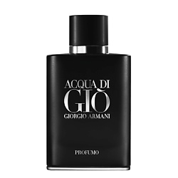 giorgio armani biography