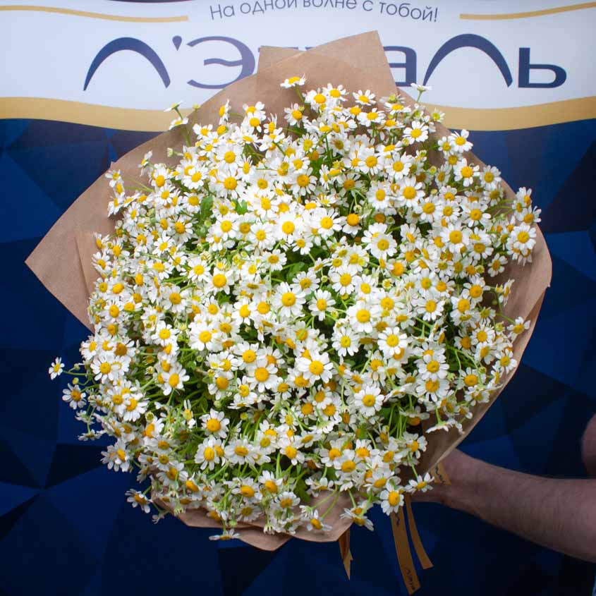 

LetuFlowers Солнечный привет