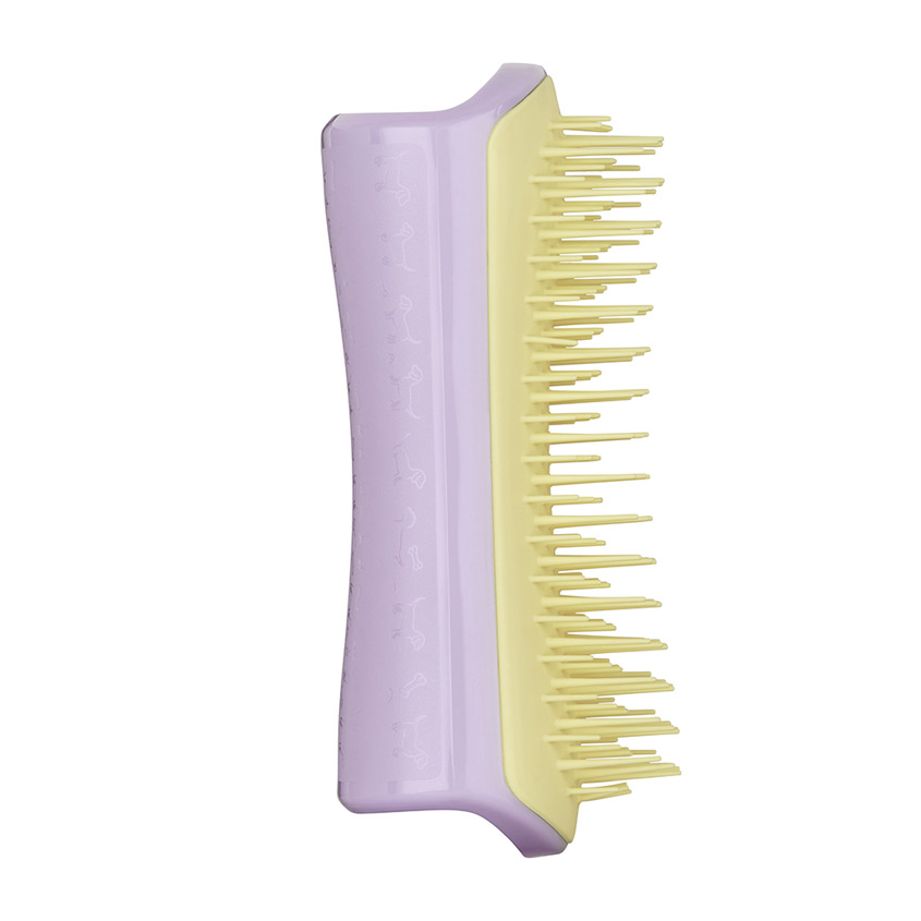 dog tangle teezer brush