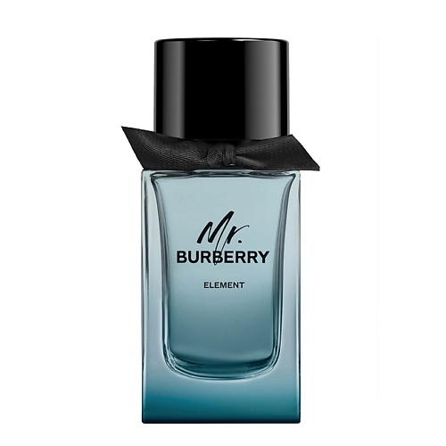 mr burberry by burberry